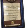 2025/08/1000035412.png All Ireland 2025 Champions Plaque