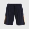 2025/10/1000037015.jpg Hydra Training Shorts Marine / Amber