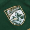 img_8911-2 Kerry GAA Home Jersey 2026 - Player Fit