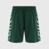 2026/03/1000045612.jpg Electro Kids Shorts Bottle / Mint