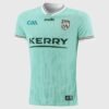 2026/05/1000047898-14.jpg Kerry GAA Home Goalkeeper Jersey 2026 - Player Fit Mint