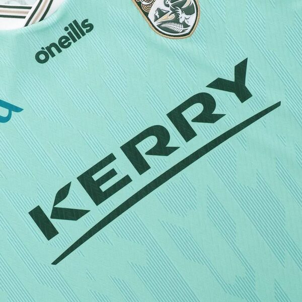 2026/05/1000047901-1.jpg Kerry GAA Home Goalkeeper Jersey 2026 - Player Fit Mint